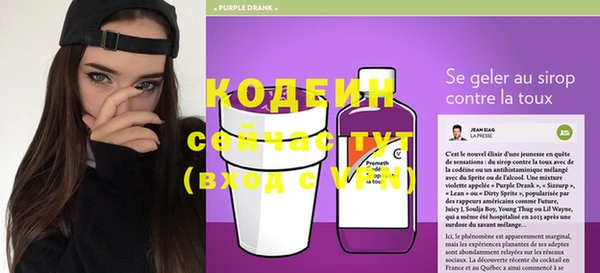 индика Бородино