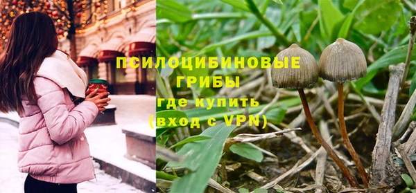 гидропоника Белокуриха