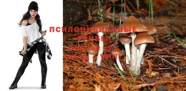наркотики Новодвинск