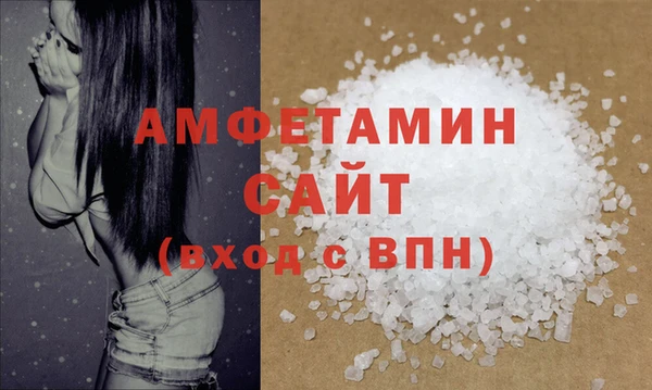 индика Бородино
