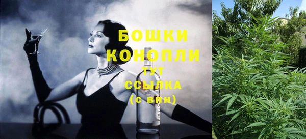 гашик Богданович