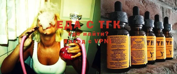 индика Бородино