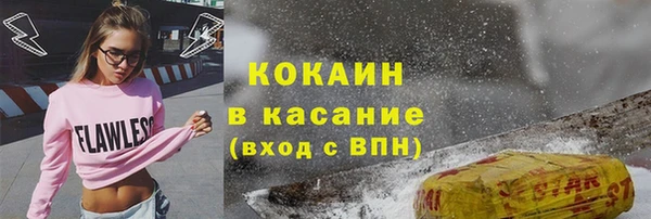 индика Бородино
