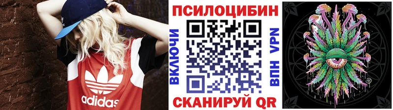 Псилоцибиновые грибы прущие грибы  продажа наркотиков  гидра зеркало  Минеральные Воды 
